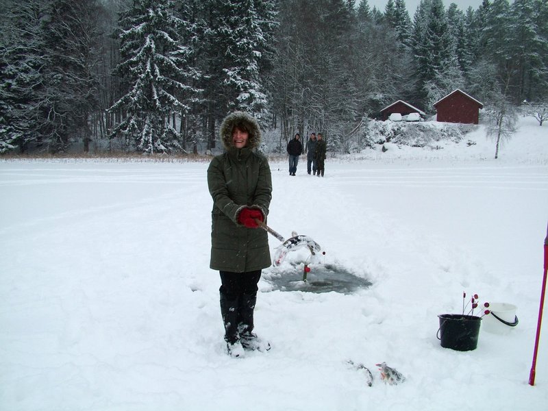 Erfahrungen mit dem Eiskarten-Spiel: Ein ungewöhnlicher Online-Hit aus, ice fishing online game